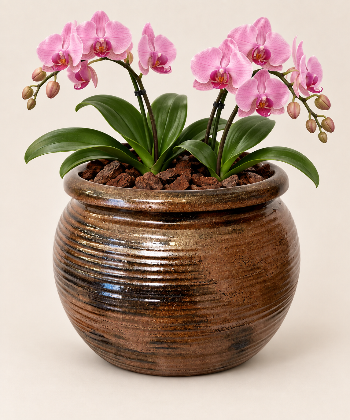 Vaso TERRACOTTA con foro