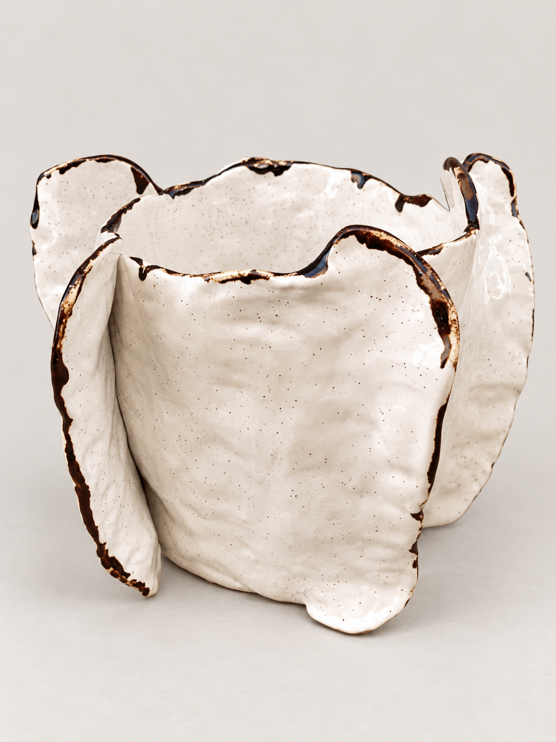 Vaso ANEMONE